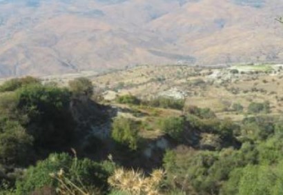 Kelokedara, Paphos Agricultural Land For Sale | C12497
