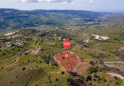 Trachypedoula, Paphos Agricultural Land For Sale | C12498