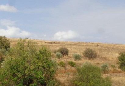 Galataria, Paphos Agricultural Land For Sale | C12501