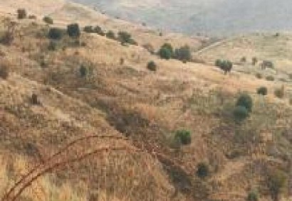 Salamiou, Paphos Agricultural Land For Sale | C12503