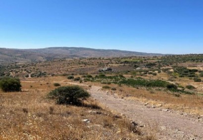 Galataria, Paphos Agricultural Land For Sale | C12506