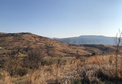 Koilineia, Paphos Agricultural Land For Sale | C12518