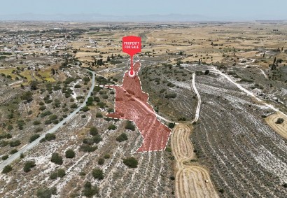 Dali, Nicosia Agricultural Land For Sale | C12588