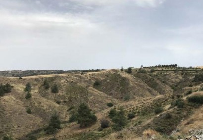 Klirou, Nicosia Agricultural Land For Sale | C12634