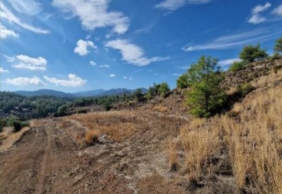 Klirou, Nicosia Agricultural Land For Sale | C12636