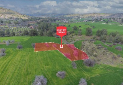 Klirou, Nicosia Agricultural Land For Sale | C12650