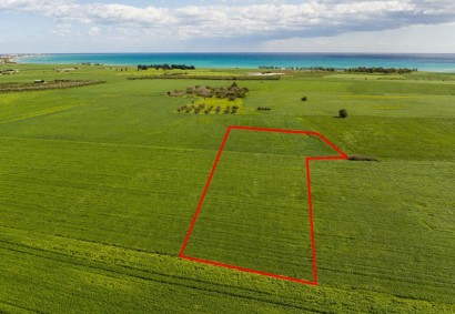 Softades, Larnaca Agricultural Land For Sale | C12688