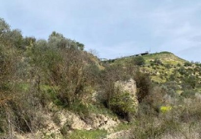 Amargeti, Paphos Agricultural Land For Sale | C12745