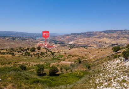 Fyti, Paphos Agricultural Land For Sale | C12792