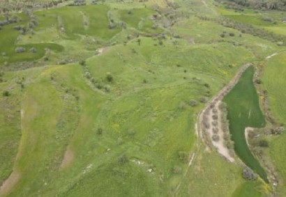 Lasa, Paphos Agricultural Land For Sale | C12793