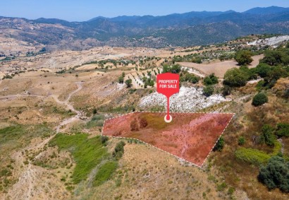Fyti, Paphos Agricultural Land For Sale | C12794