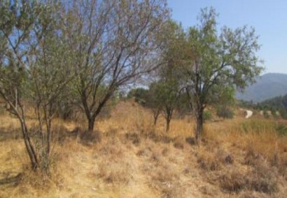 Kritou Marottou, Paphos Agricultural Land For Sale | C12797