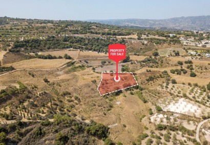 Simou, Paphos Agricultural Land For Sale | C12802