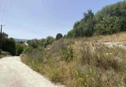 Simou, Paphos Agricultural Land For Sale | C12808