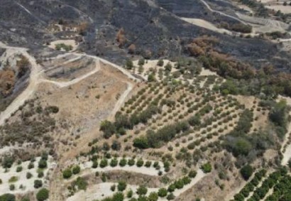 Giolou, Paphos Agricultural Land For Sale | C12811