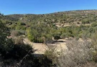 Drymou, Paphos Agricultural Land For Sale | C12812
