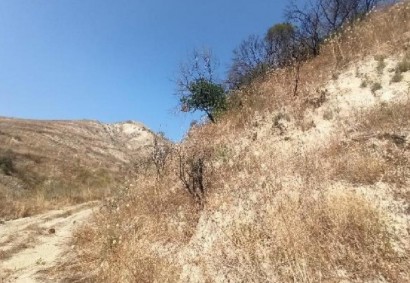 Giolou, Paphos Agricultural Land For Sale | C12813