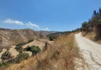 Drymou, Paphos Agricultural Land For Sale | C12814