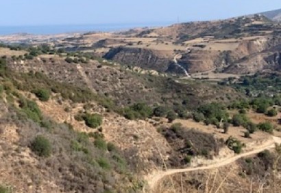 Loukrounou, Paphos Agricultural Land For Sale | C12815