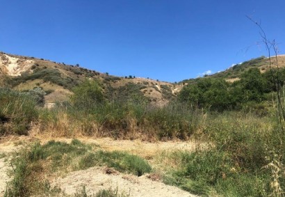 Giolou, Paphos Agricultural Land For Sale | C12816