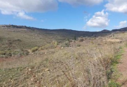 Ineia, Paphos Agricultural Land For Sale | C12819