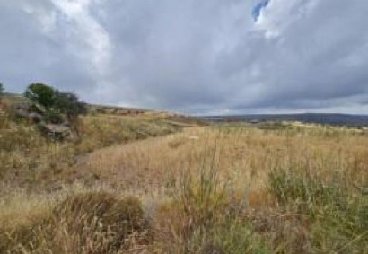 Ineia, Paphos Agricultural Land For Sale | C12820