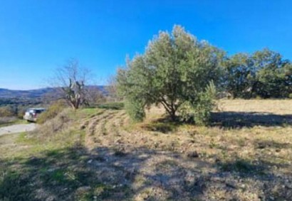 Lemona, Paphos Agricultural Land For Sale | C12884