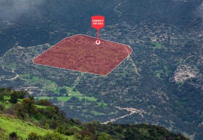 Akoursos, Paphos Agricultural Land For Sale | C12886