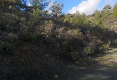 Louvaras, Limassol Agricultural Land For Sale | C12905