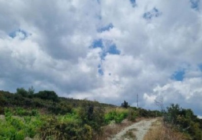 Koilani, Limassol Agricultural Land For Sale | C12907