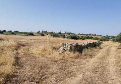 Pachna, Limassol Agricultural Land For Sale | C12909