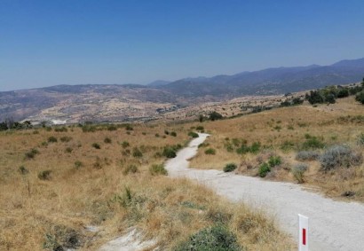 Lasa, Paphos Agricultural Land For Sale | C12915