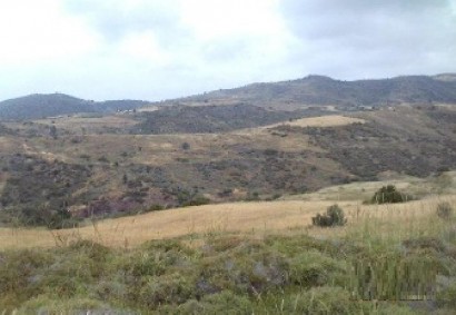 Ineia, Paphos Agricultural Land For Sale | C12917