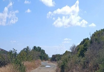 Moni, Limassol Agricultural Land For Sale | C12918