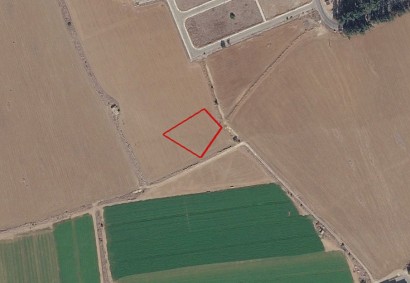 Trachoni Lemesou Agricultural Land For Sale | C12930