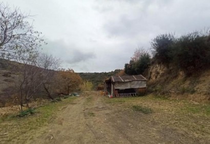 Agios Dimitrianos Agricultural Land For Sale | C12934