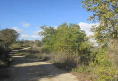 Polemi, Paphos Agricultural Land For Sale | C12935