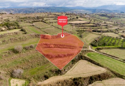 Polemi, Paphos Agricultural Land For Sale | C12936