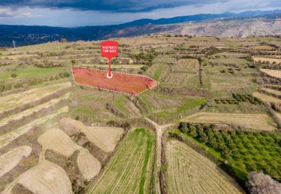 Polemi, Paphos Agricultural Land For Sale | C12937