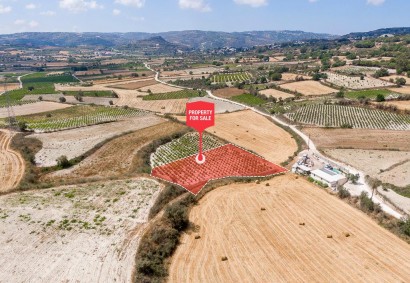 Stroumpi Pano, Paphos Agricultural Land For Sale | C12938