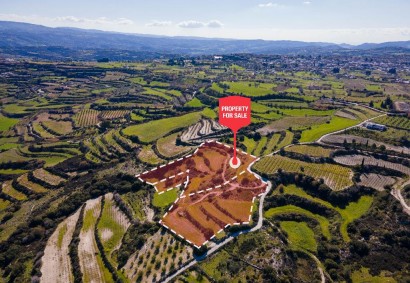 Polemi, Paphos Agricultural Land For Sale | C12946