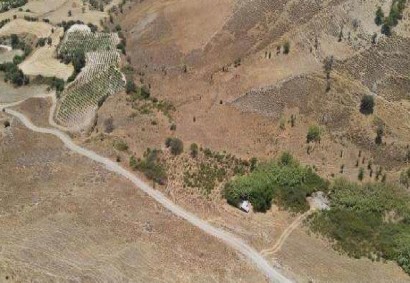 Agios Dimitrianos Agricultural Land For Sale | C12958