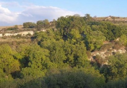 Stroumpi Pano, Paphos Agricultural Land For Sale | C12959