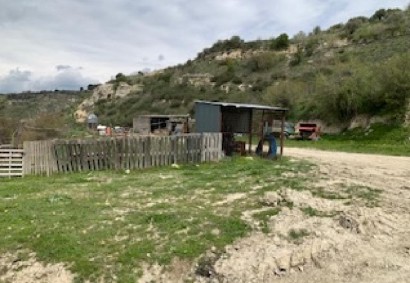 Thrinia, Paphos Agricultural Land For Sale | C12961