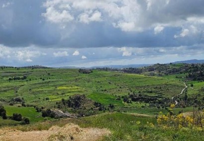 Thrinia, Paphos Agricultural Land For Sale | C12964