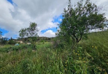 Thrinia, Paphos Agricultural Land For Sale | C12965