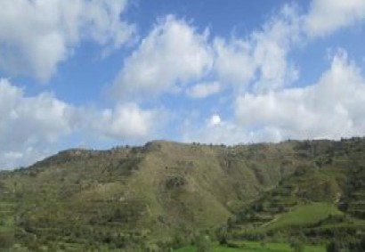 Drymou, Paphos Agricultural Land For Sale | C12967