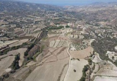 Giolou, Paphos Agricultural Land For Sale | C12968