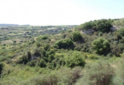 Stroumpi Pano, Paphos Agricultural Land For Sale | C12970