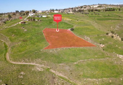 Thrinia, Paphos Agricultural Land For Sale | C12971
